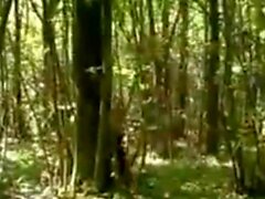 Два гей -медведя в лесу
