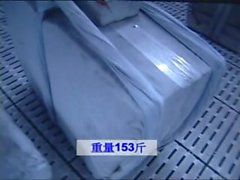 释 延 哲 铁 裆 功