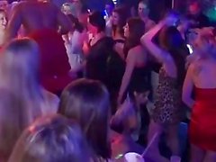 Party amateur cocksucking dick at party