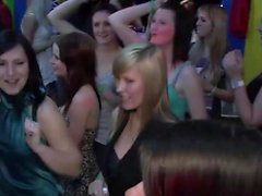 Chicas guapas se divierten en la fiesta