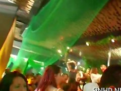 Явные и дикого Club ублажают