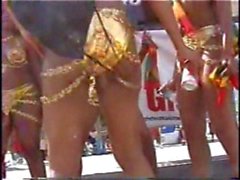 Miami Vice Carnival 2006 IV
