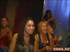 Strip dancer fucking bitches at party