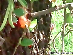 étudiante de lesbiennes extraordinaires rendant dans la cuisine