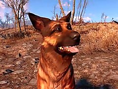 в Fallout 4