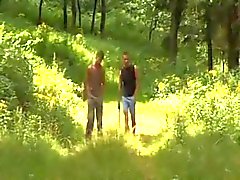 Minets nues in the Woods - Niai