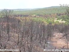 My man interviews me over several days after forest fire