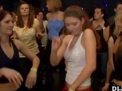 Le ragazze seguono sono scopata simili sluts a una festa