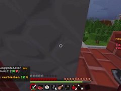 Das nackte Überleben / Minecraft Deutsch: D