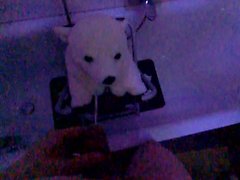 ice bear plush piss slowmotion 120fps